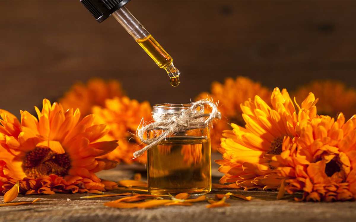 Calendula oil